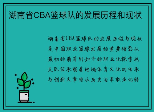 /uploads/images/20250603/hu-nan-sheng-cba-lan-qiu-dui-de-fa-zhan-li-cheng-he-xian-zhuang.webp